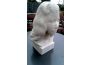 Troc - Image Produit