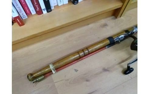 CANNE A PECHE AVEC MOULINET HERCULY 300