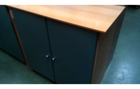 CAISSON 2 PORTES FRENE LOOK VERTE L UNITE
