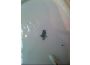 Troc - Image Produit