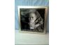 Troc - Image Produit