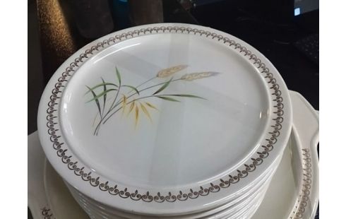 LOT D'ASSIETTES BLE