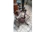 Troc - Image Produit