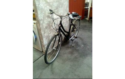 VELO
