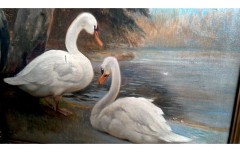 SCHILDERIJ ZWANEN GESIGNEERD FL.HOSTE