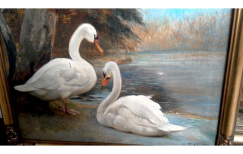SCHILDERIJ ZWANEN GESIGNEERD FL.HOSTE