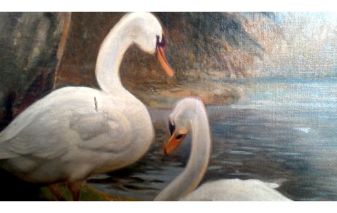 SCHILDERIJ ZWANEN GESIGNEERD FL.HOSTE