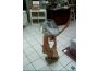 Troc - Image Produit