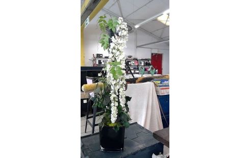 PLANTES  DECO