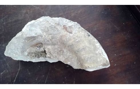GEODE  FOSSILE   TGM