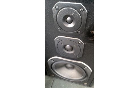 LUIDSPREKER TECHNICS SB-CS6