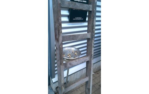 LADDER HOUT DECORATIEF