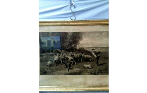 KUNSTDRUCK I.R. <E. MEIßNER> SCHAFHERDE