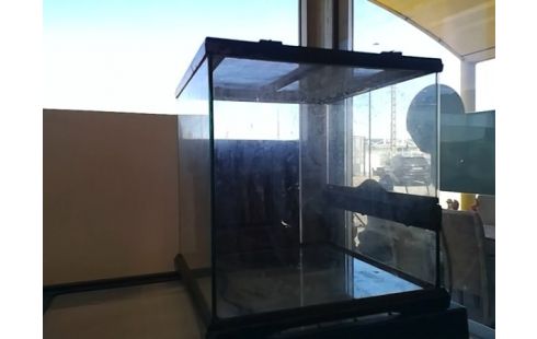 TERRARIUM MM VERRE