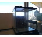 TERRARIUM MM VERRE