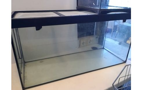 TERRARIUM VERRE GM