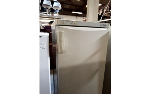 CONGÉLATEUR SURGÉLATEUR MIELE 6 TRS