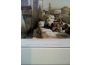 Troc - Image Produit