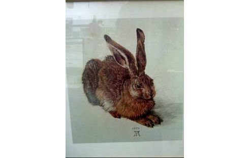 KUNSTDRUCK I.R. <A. DÜRER> JUNGER FELDHASE