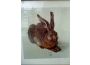 Troc - Image Produit
