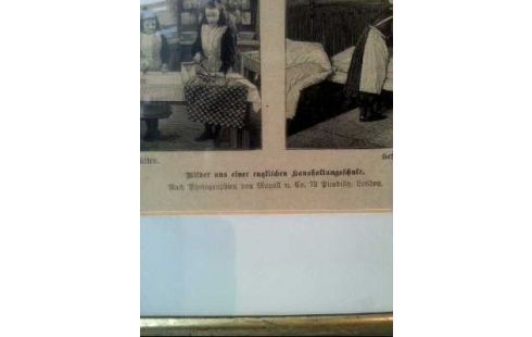 HOLZSTICH <MAYALL> I.R. HAUSH.SCHULE
