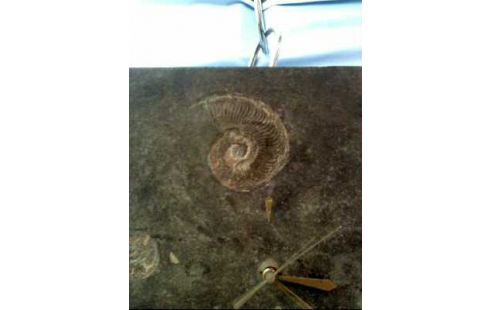 RELOJ DE PARED