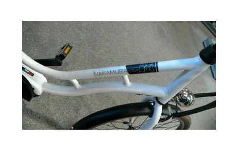 FAHRRAD ELEKTRISCH