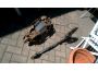 Troc - Image Produit