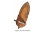 Troc - Image Produit