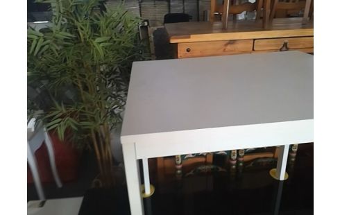 TABLE DE CUISINE AVEC ALLONGE INTERIEURE