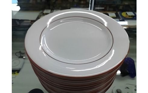 LOT DE 13 ASSIETTES PORCELAINE H BORD ORANGE