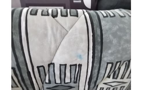 BANQUETTE BZ BLANCHE ET GRISE (TACHE BLEUE)
