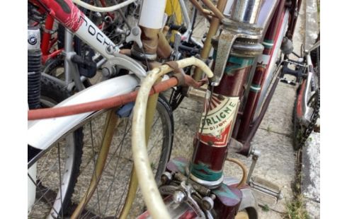 VELO ORLIGNE DIJON
