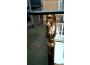 Troc - Image Produit