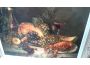 Troc - Image Produit