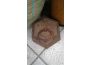 Troc - Image Produit
