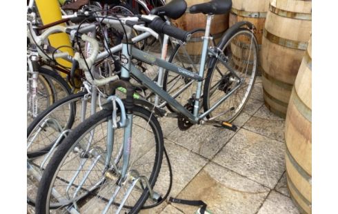 VTT CHEROKEE SPORT GRIS