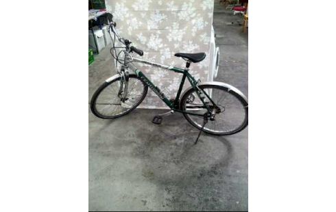 CROSSBIKE CENTURION SILBER GRÜN