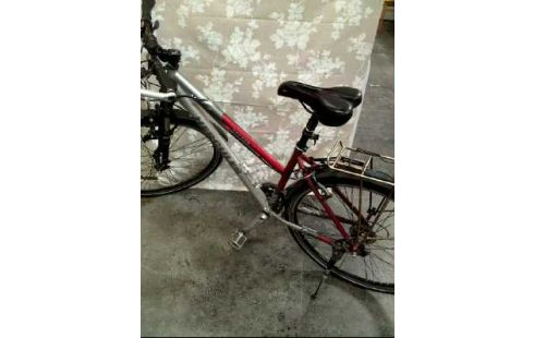 TREKKINGRAD HERCULES SPYDER ROT GRAU