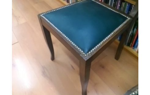 CHAISE BOIS ASSISE VERTE