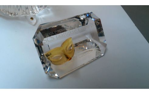 OBJET DECO SWAROVSKI CRISTAL