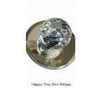 OBJET DECO SWAROVSKI CRISTAL, , PRESSE PAPIER