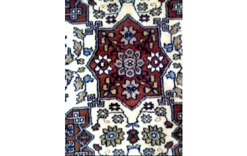 TAPIS