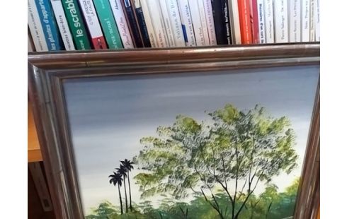 CADRE PAYSAGE RIVIERE