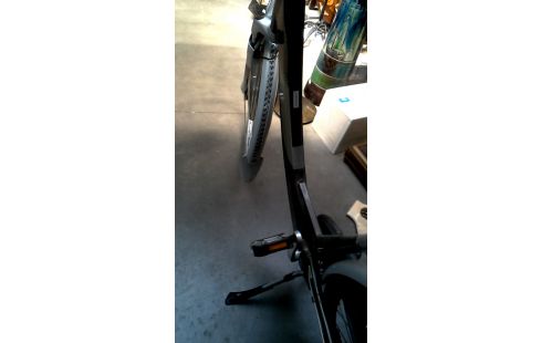DAMENRAD GRAU