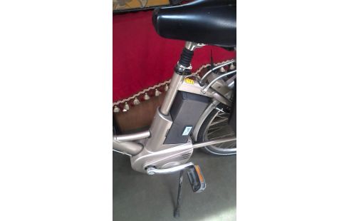 DAMENRAD GIANT GRAU