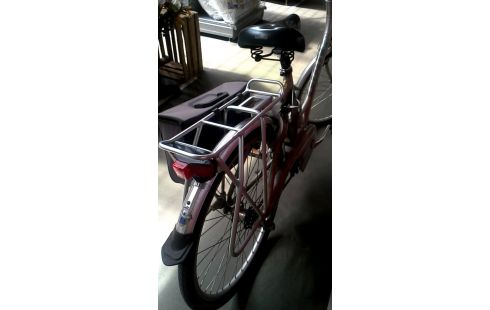 DAMENRAD GIANT GRAU