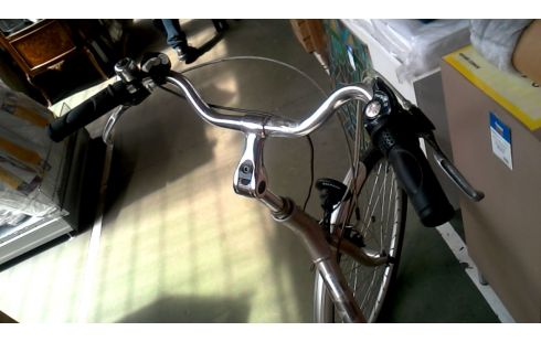 DAMENRAD GIANT GRAU