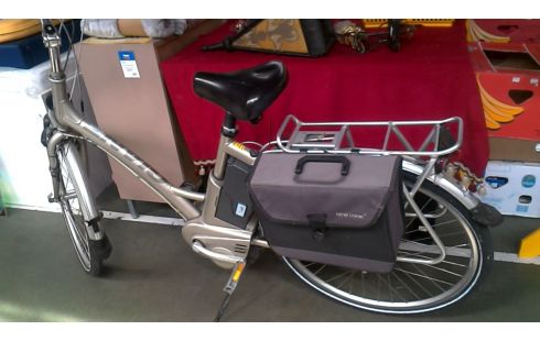 DAMENRAD GIANT GRAU