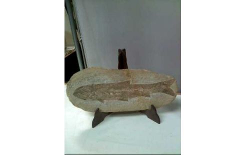 FOSSIL FISCH AUF STEIN 2ER-SET